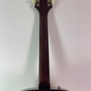 Epiphone FT-120 by Gibson 1970's MIJ
