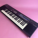 Casio SK-2100 49-Key Sampling Keyboard Musical Instruments Fuzz Audio 