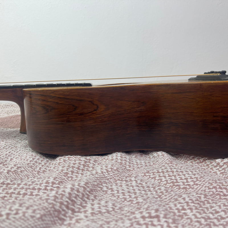 Washburn New Model 1890's Guitar Fuzz Audio 