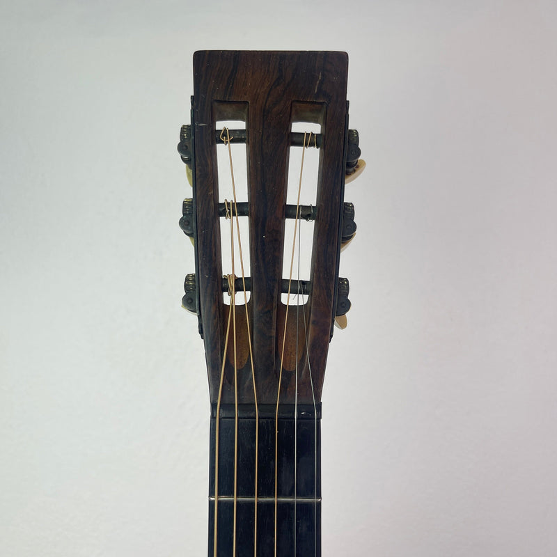 Washburn New Model 1890's Guitar Fuzz Audio 